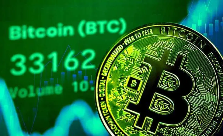 RozaXfin - Discover the Peak of Automated Cryptocurrency Trading with RozaXfin.